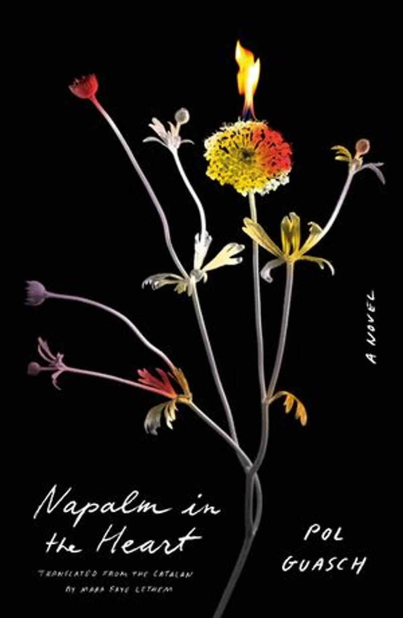 Napalm in the Heart: A Novel