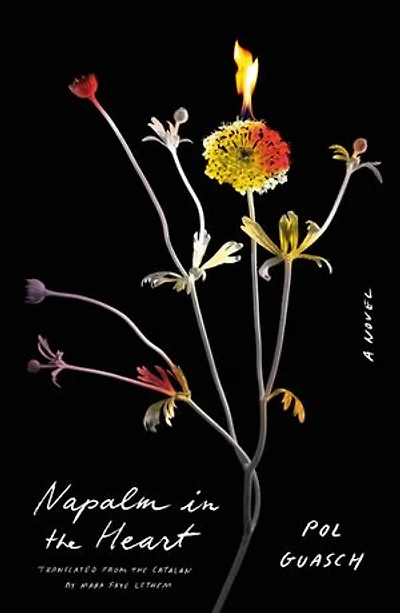 Napalm in the Heart: A Novel