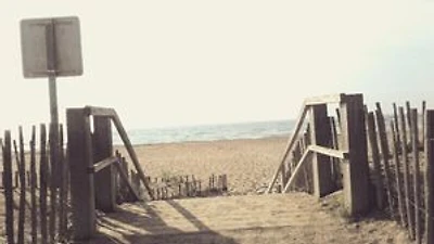La Plage aux chiens