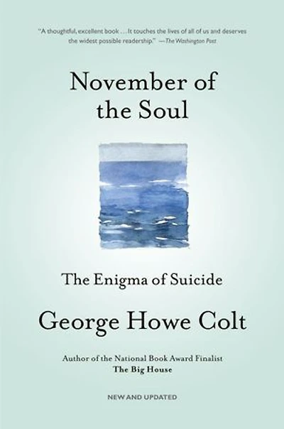 November of The Soul: Enigma Suicide