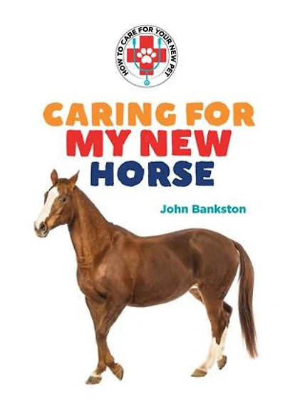 Caring for My New Horse