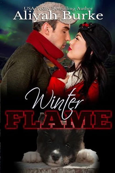 Winter Flame: A Second Chance Romance