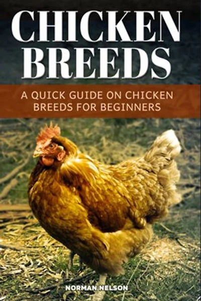 Chicken Breeds: A Quick Guide On Chicken Breeds For Beginners