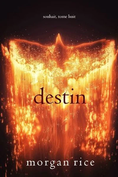 Destin (Souhait Tome 8)