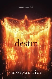 Destin (Souhait Tome 8)