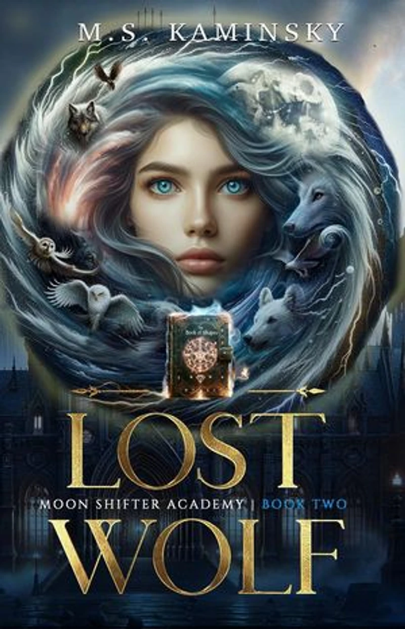 Lost Wolf: Moon Shifter Academy, #2