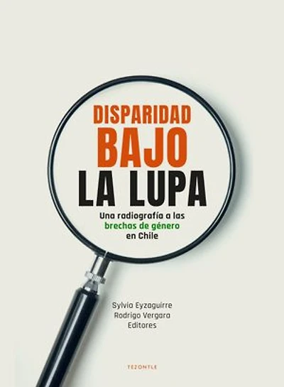 Disparidad bajo la lupa: Una radiografía a las brechas de género en Chile