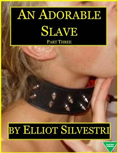 An Adorable Slave (Part Three)