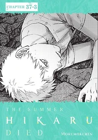 The Summer Hikaru Died, Chapter 37.3