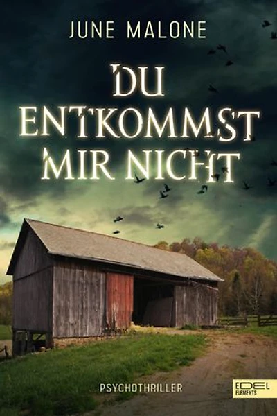 Du entkommst mir nicht: Psychothriller