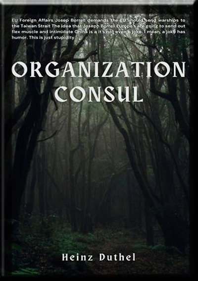 ORGANIZATION CONSUL: THE QUESTIONNAIRE