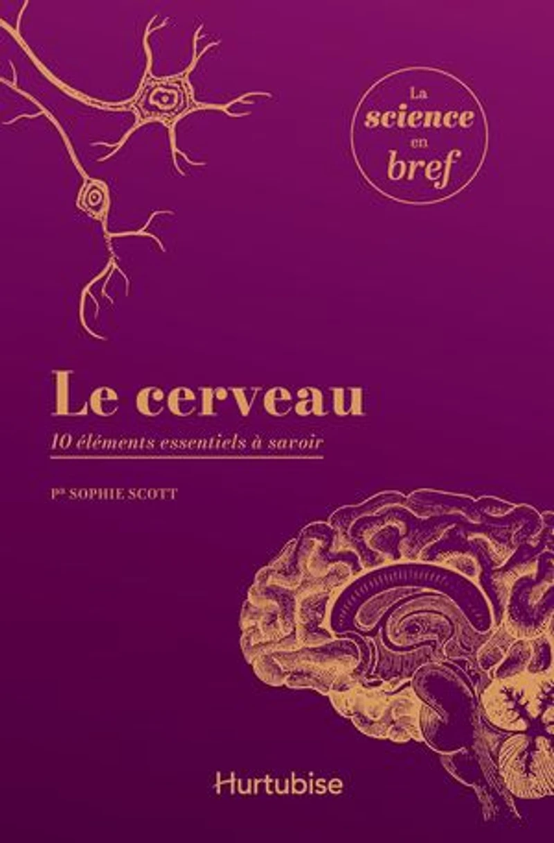 Le cerveau : 10 éléments essentiels à savoir: savoir