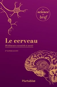 Le cerveau : 10 éléments essentiels à savoir: savoir