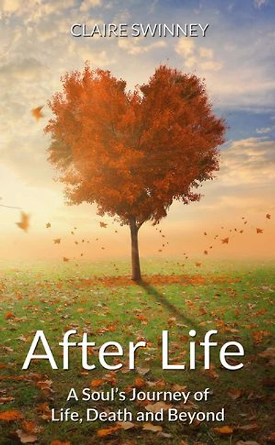 AFTER LIFE: A Soul's Journey of Life, Death and Beyond