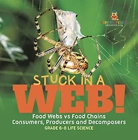 Stuck in a Web! Food Webs vs Food Chains | Consumers, Producers and Decomposers | Grade 6-8 Life Science