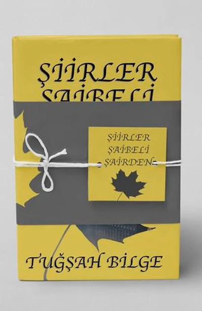 ŞİİRLER ŞAİBELİ ŞAİRDEN