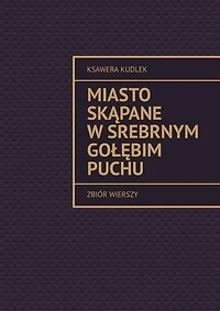 Miasto skąpane w srebrnym gołębim puchu
