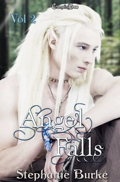 Angel Falls Vol. 2: A Box Set of Urban Fantasy Romances