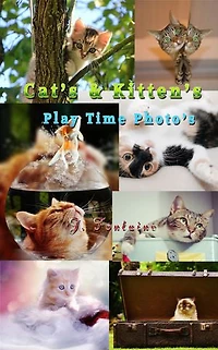 Cats & Kittens Play Time: Photo Book