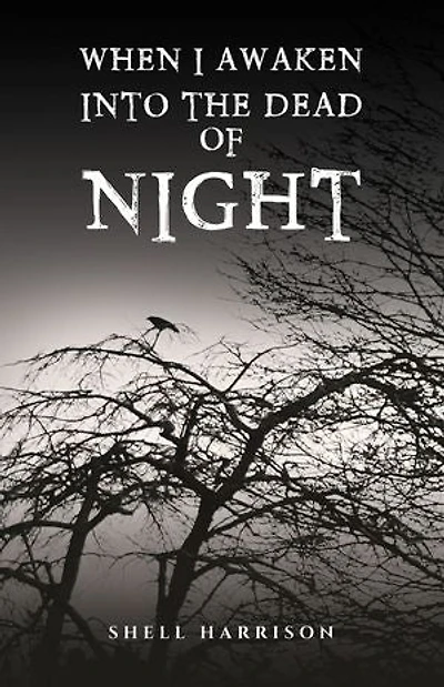 When I Awaken Into The Dead of Night