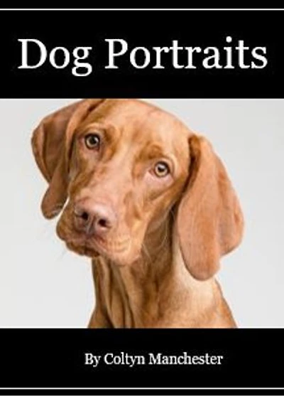 Dog Portraits: Stunning Dog Portrait Photographs