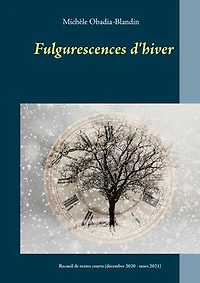 Fulgurescences d'hiver: Recueil de textes courts (décembre 2020 - mars 2021)