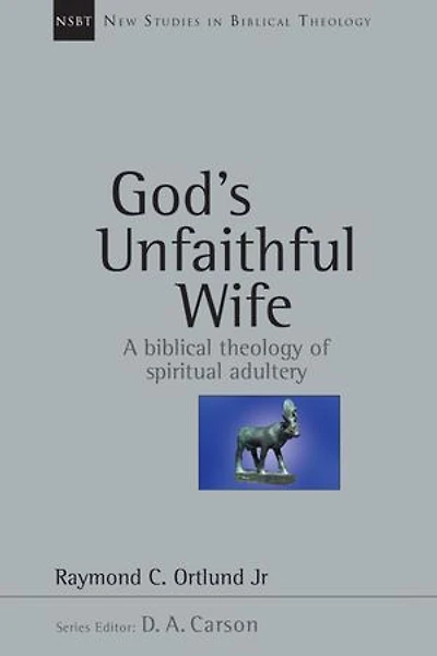 God's Unfaithful Wife: A Biblical Theology of Spiritual Adultery