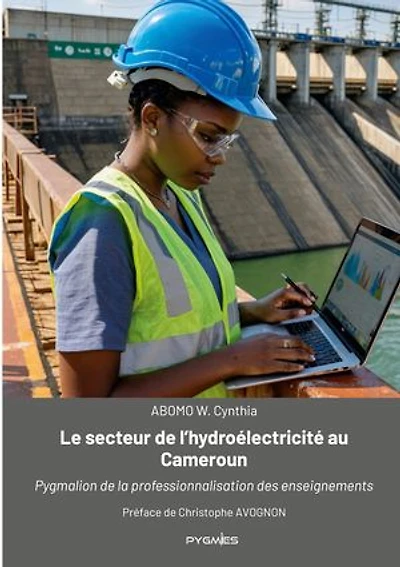 Le secteur de l'hydroélectricité au Cameroun: Pygmalion de la professionnalisation des enseignements