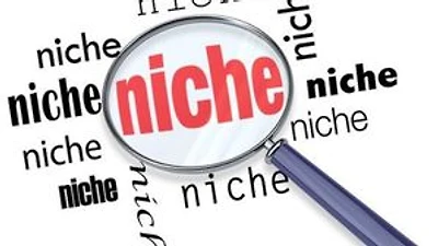 17 More Of The HOTTEST Niches Revealed