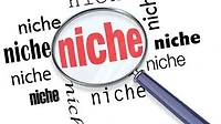 17 More Of The HOTTEST Niches Revealed