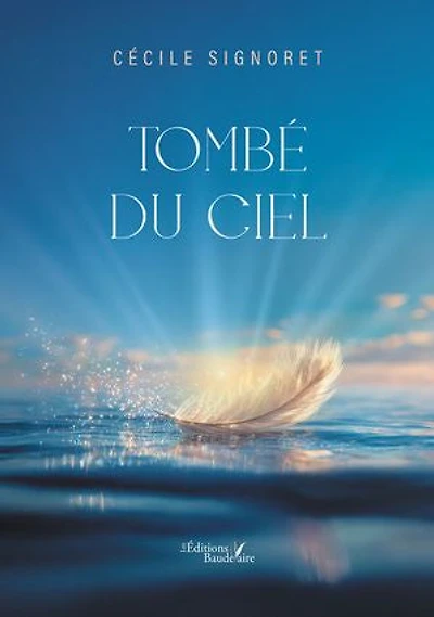 Tombé du ciel