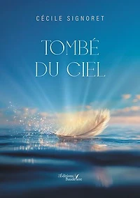Tombé du ciel