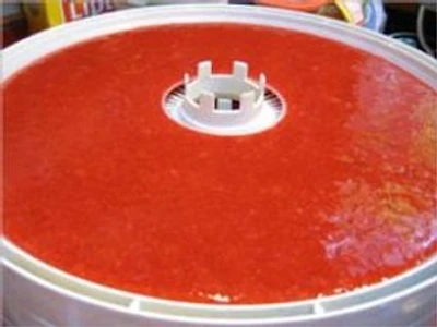 A Crash Course on How to Make Fruit Leather