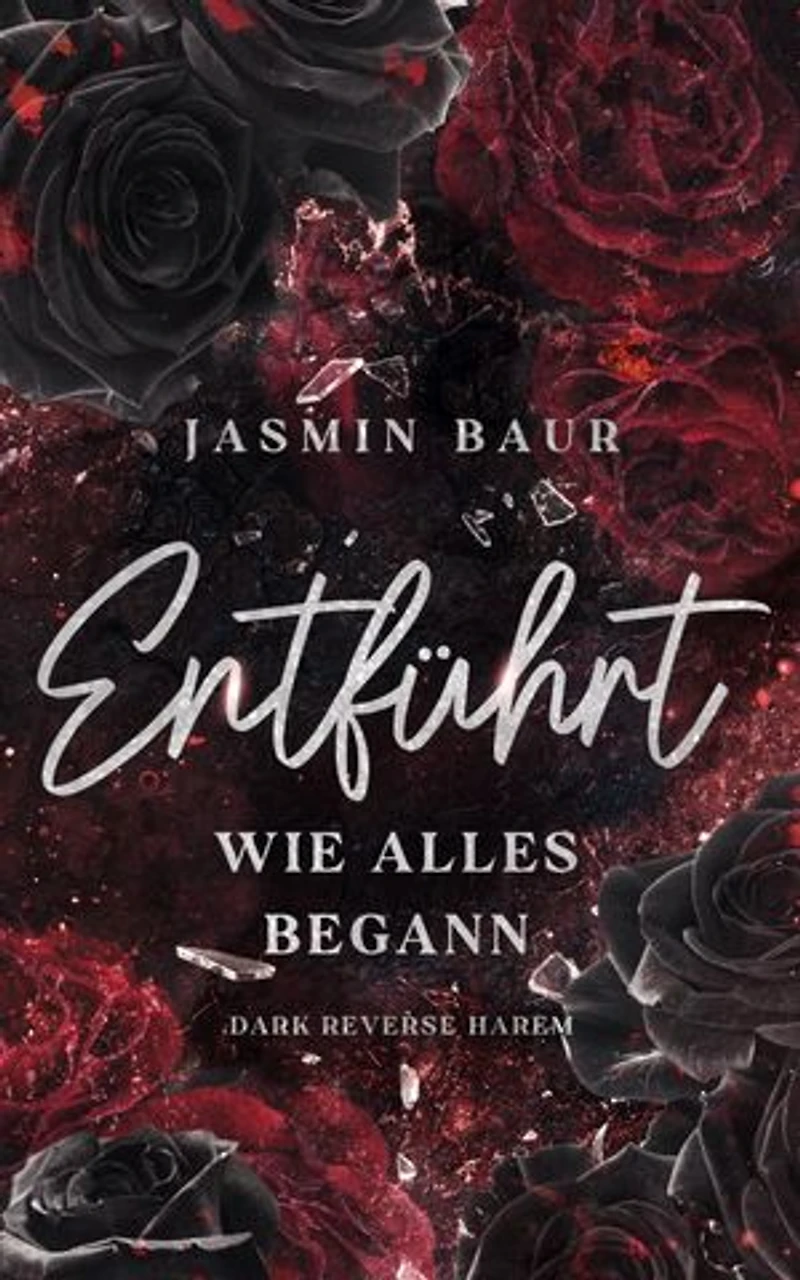 Entführt: Wie alles begann (Dark Reverse Harem)