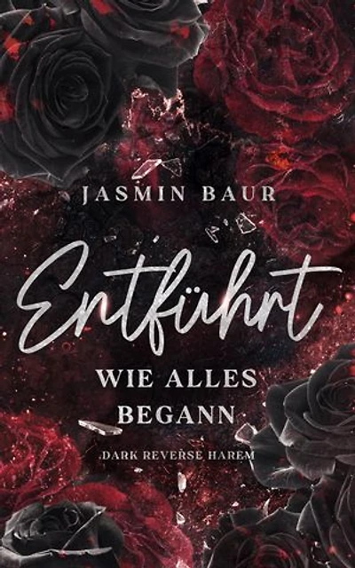 Entführt: Wie alles begann (Dark Reverse Harem)