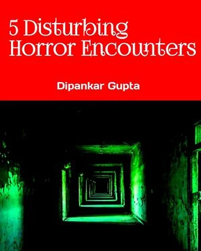 5 Disturbing Horror Encounters True Scary Stories for Adults
