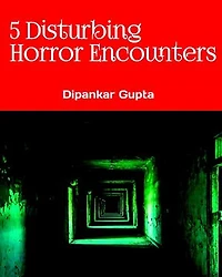 5 Disturbing Horror Encounters True Scary Stories for Adults