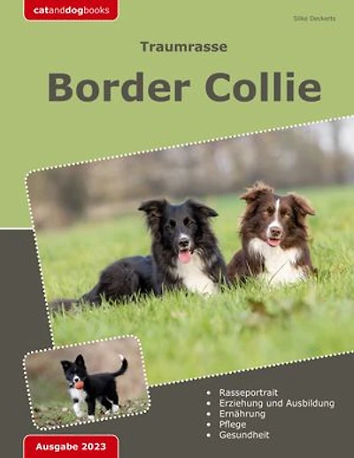 Traumrasse: Border Collie