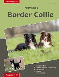 Traumrasse: Border Collie