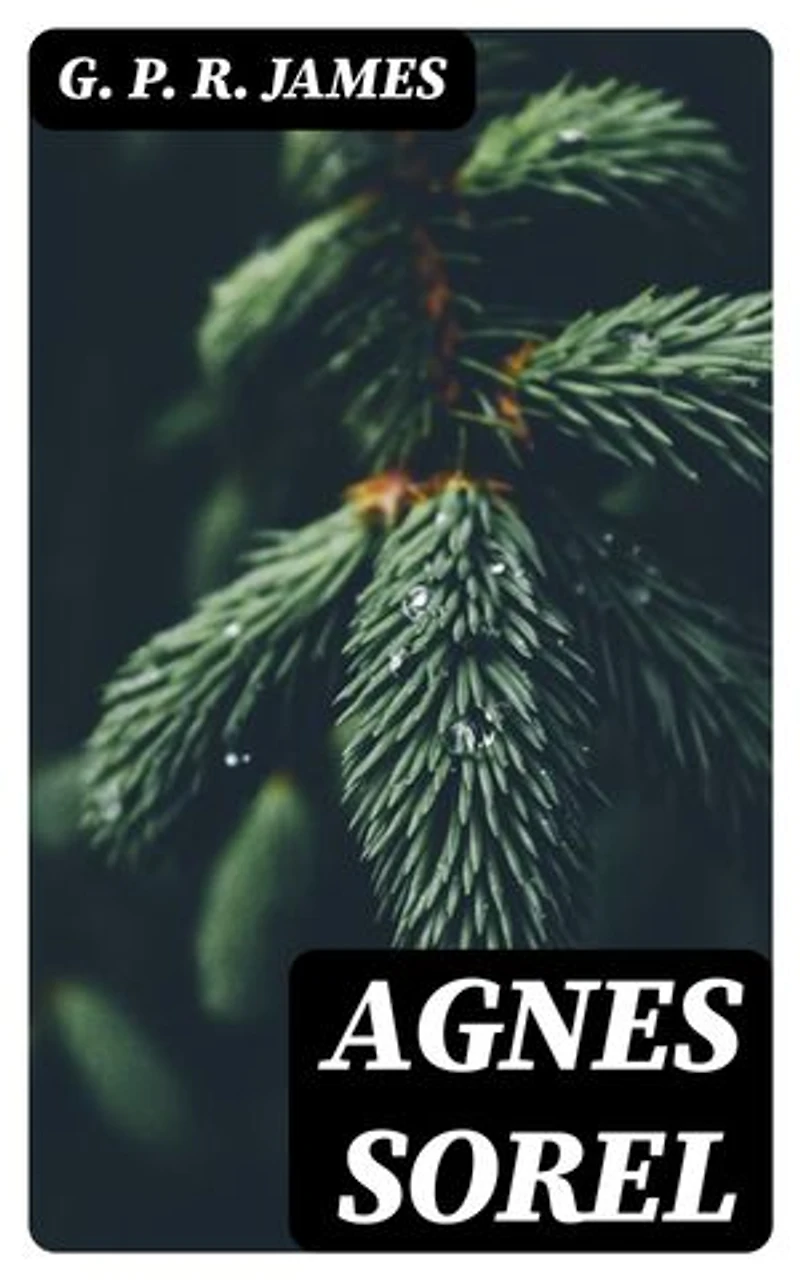 Agnes Sorel: Enriched edition. A Novel