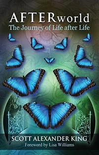 Afterworld: The Journey of Life After