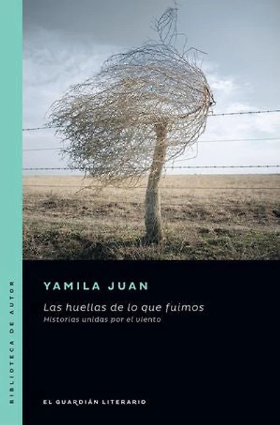 Las huellas de lo que fuimos: Historias unidas por el viento