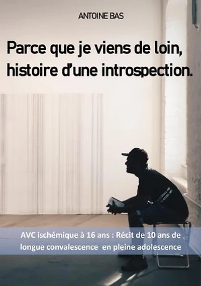 Parce que je viens de loin: histoire d'une introspection