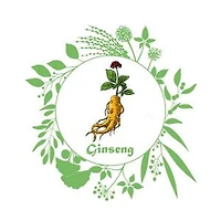 LE GINSENG ET SES VERTUS