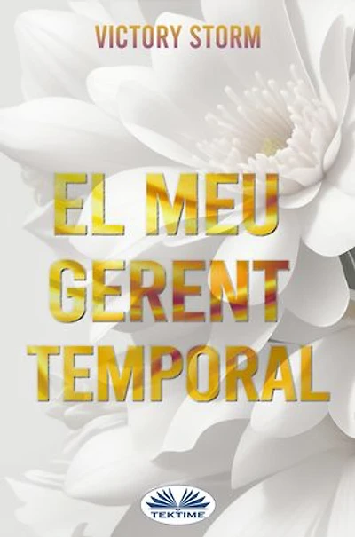 El Meu Gerent Temporal