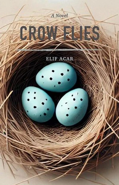 Crow Flies: The Crow Series, #1