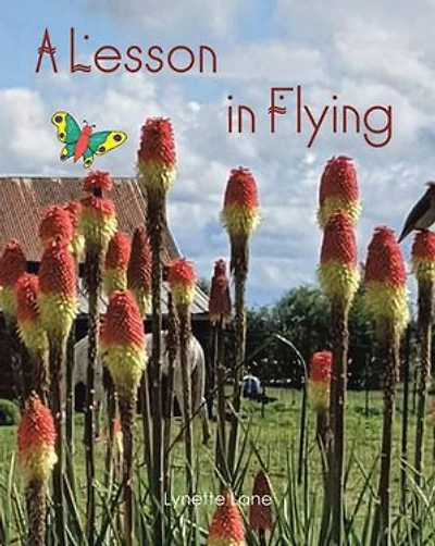 A Lesson Flying