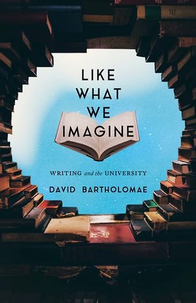 Like What We Imagine: Writing and the University