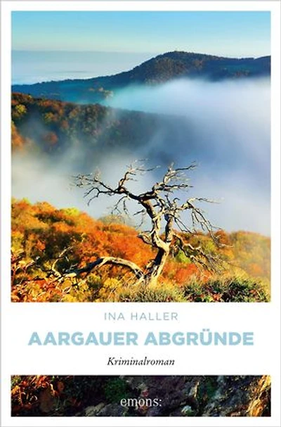 Aargauer Abgründe: Kriminalroman