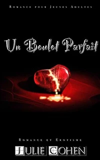 Un Boulot Parfait: Romance pour Jeunes Adultes